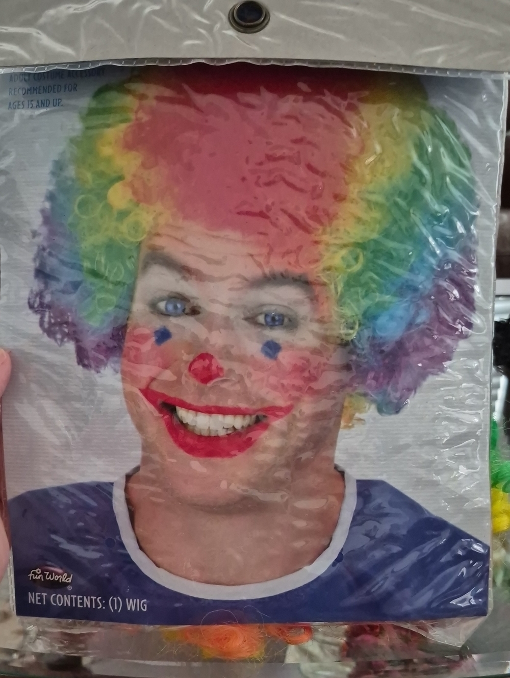 Men's Rainbow Clown Wig - Multicolor